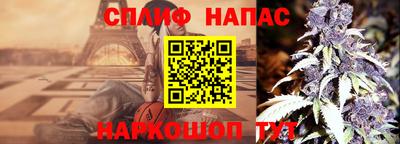 молекула духа Пугачёв