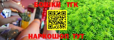 молекула духа Пугачёв