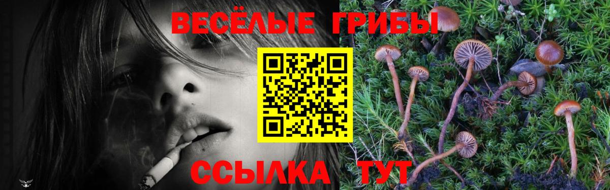 Псилоцибиновые грибы мухоморы Тверь