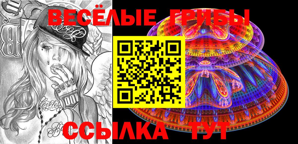 Тверь  Псилоцибиновые грибы мицелий  Вход с VPN  Псилоцибиновые грибы мицелий 